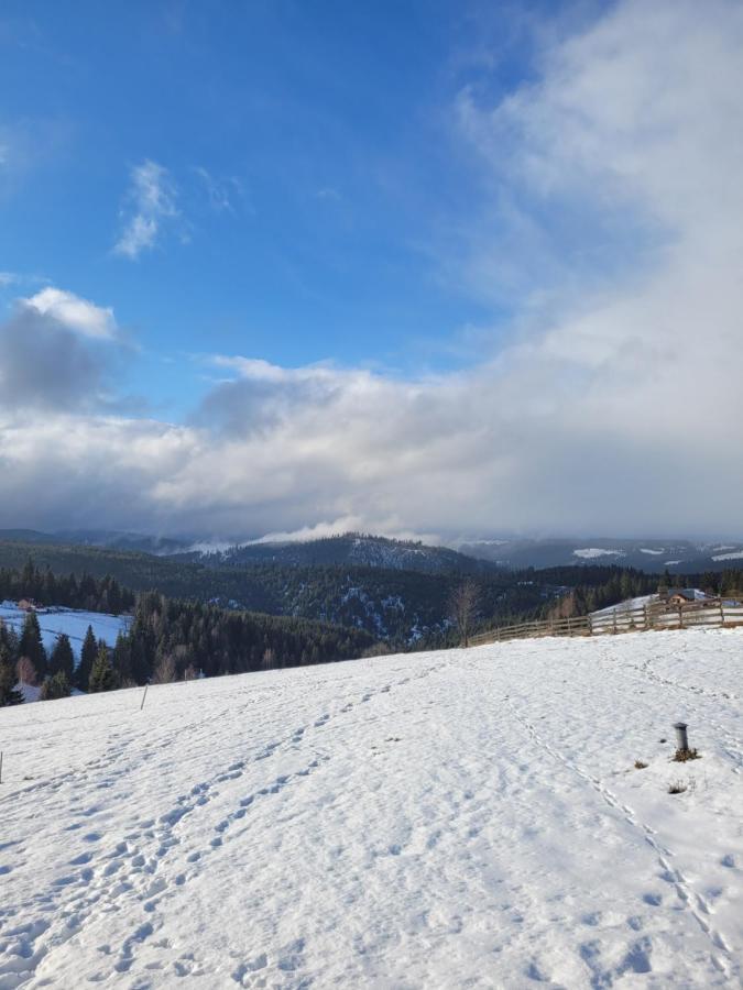 Casuta De Vacanta Marisel, Cluj Екстериор снимка